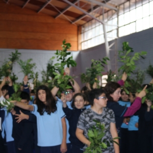 Celebración de Ramos